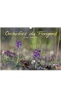 Orchidees Du Perigord 2018: Belles Et Fragiles Fleurs Sauvages(Calvendo Nature)