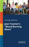 Study Guide for Jean Toomer's "Blood-Burning Moon"