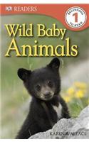 Wild Baby Animals