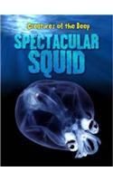Spectacular Squid