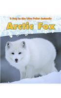 Arctic Fox