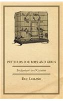 Pet Birds for Boys and Girls - Budgerigars and Canaries