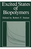 Excited States of Biopolymers