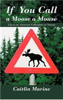 If You Call a Moose a Mouse: Life as an American Fulbrighter in Norway