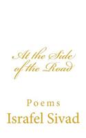 At the Side of the Road: Poems