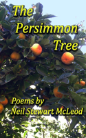 Persimmon Tree