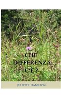 Che differenza c'è ?