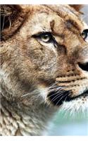 MindBlowing Cute Lion Journal 2