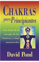 Chakras Para Principiantes