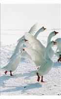 2020 Daily Planner Winter Theme Snow Geese 388 Pages