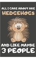 All I Care About Are Hedgehog And Like Maybe 3 People