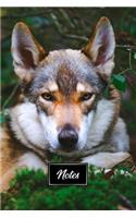 Siberian Husky Huskies Dog Pup Puppy Doggie Notebook Bullet Journal Diary Composition Book Notepad - Deep in Bushes: Cute Animal Pet Owner Composition Book with 100 Unruled Plain Blank Paper Pages in 6" x 9" Inch