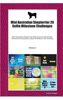 Mini Australian Shepterrier 20 Selfie Milestone Challenges: Mini Australian Shepterrier Milestones for Memorable Moments, Socialization, Indoor & Outdoor Fun, Training Volume 4