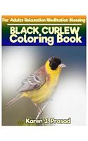 BLACK CURLEW Coloring book for Adults Relaxation Meditation Blessing: Sketches Coloring Book Grayscale Images