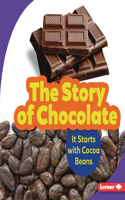 The Story of Chocolate: It Starts with Cocoa Beans(Step by Step)