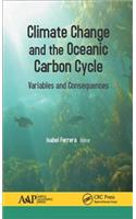 Climate Change and the Oceanic Carbon Cycle