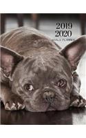 2019 2020 French Bulldog 15 Months Daily Planner: Academic Hourly Organizer in 15 Minute Interval; Appointment Calendar with Address Book & Note Section; Monthly & Weekly Goals Journal with Quotes