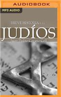 Breve Historia de Los Judíos