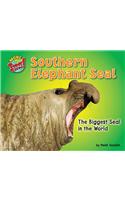 Southern Elephant Seal
