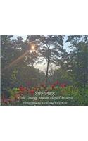Summer in the Creasey Mahan Nature Preserve