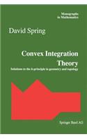 Convex Integration Theory