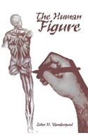 The Human Figure