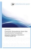 Courants Secondaires Dans Des Écoulements Complexes