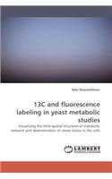 13c and Fluorescence Labeling in Yeast Metabolic Studies