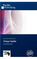 Selago Lepida: (English)