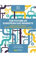 Energy Scenarios and Policy, Volume I: The future of European Gas Markets