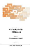 Flash Reaction Processes