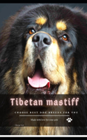 Tibetan mastiff