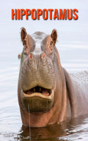 Hippopotamus: Amazing Facts about Hippopotamus