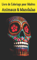 Livre de Coloriage pour Adultes