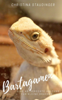 Bartagamen - eine artgerechte Haltung für kleine Drachen