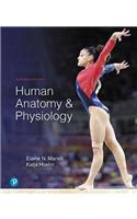 Human Anatomy & Physiology Plus Mastering A&p with Pearson Etext -- Access Card Package