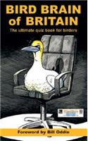Bird Brain of Britain