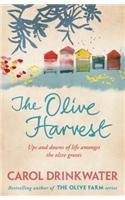The Olive Harvest