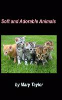 Soft And Adorable Animals