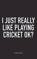 I Just Really Like Playing Cricket Ok?