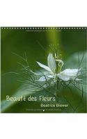 Beaute des Fleurs 2017