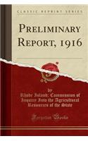 Preliminary Report, 1916 (Classic Reprint)