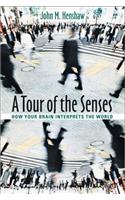 A Tour of the Senses