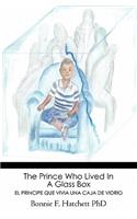 The Prince Who Lived In A Glass Box