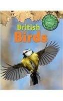 Nature in Your Neighbourhood: British Birds