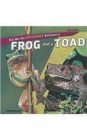 Tell Me the Difference Between a Frog and a Toad: (How Are They Different?)