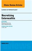 Necrotizing Enterocolitis, an Issue of Clinics in Perinatology