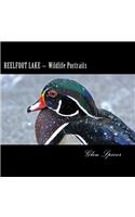 Reelfoot Lake Wildlife Portraits