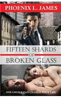 Fifteen Shards of Broken Glass