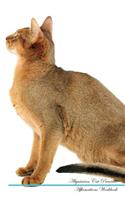 Abyssinian Cat Affirmations Workbook Abyssinian Cat Presents: Positive and Loving Affirmations Workbook. Includes: Mentoring Questions, Guidance, Supporting You.